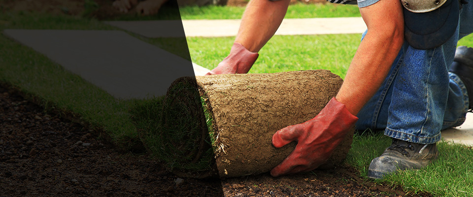 Broadway Landscapers